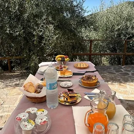 Bed & Breakfast Casa La Lamia